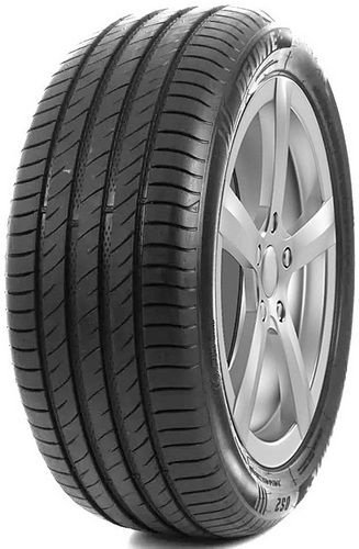 DELINTE DS-2 SUV 215/55 R18 99V  